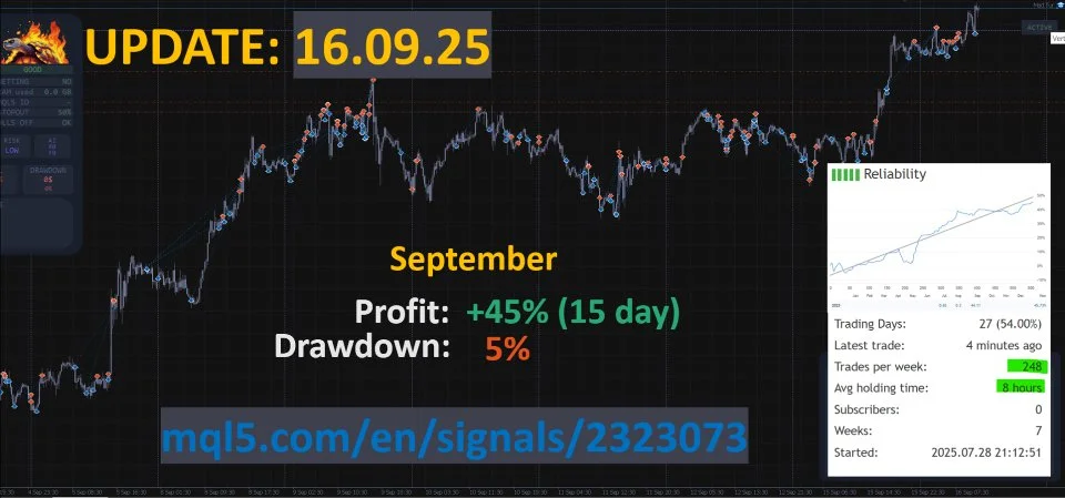 mad-turtle-screen-7750-preview